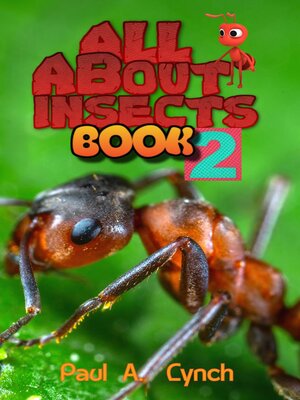 cover image of All About Insects
